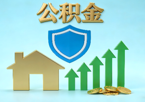 洛阳当前住房公积金提取条件分类指南与政策趋势